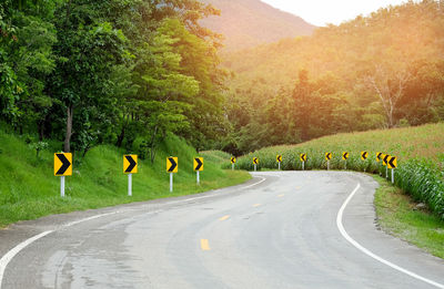 Road passing through trees