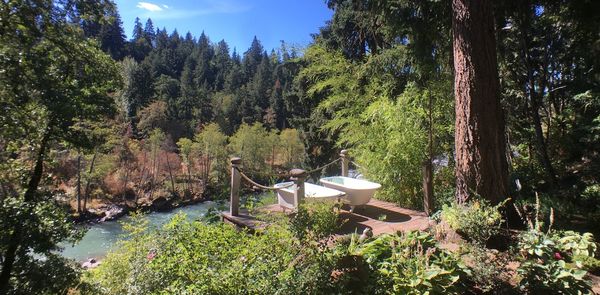 Clawfoot soaking tubs over the river