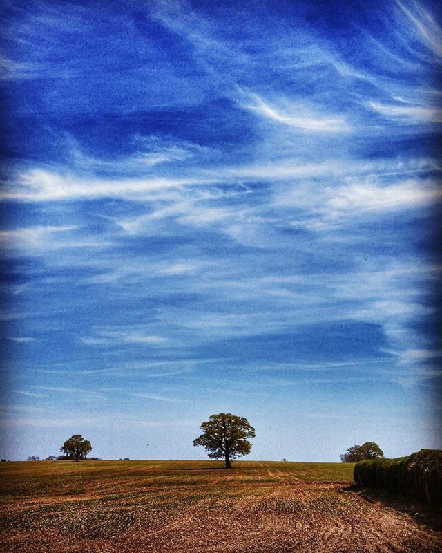 SCENIC VIEW OF RURAL LANDSCAPE