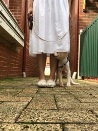 Low section of woman with dog standing on footpath