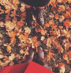 Low section of person standing on dry leaves