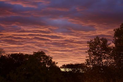 Low angle view of silhouette trees against sky during sunset