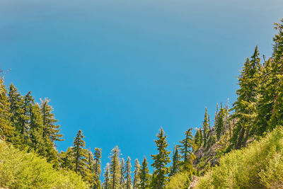 Landscape views of crater lake in oregon during the summer.