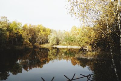 Scenic view of lake in forest against clear sky