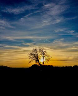 Silhouette trees on field against sky during sunset