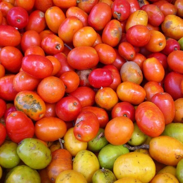 food and drink, full frame, freshness, food, healthy eating, backgrounds, abundance, large group of objects, for sale, red, market, market stall, retail, vegetable, fruit, still life, tomato, organic, close-up, choice