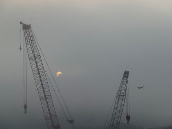 Low angle view of cranes against sky