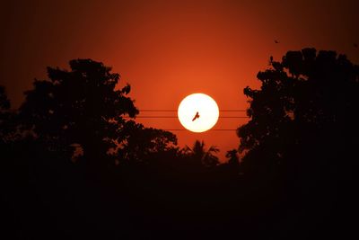 Silhouette trees against sky during sunset