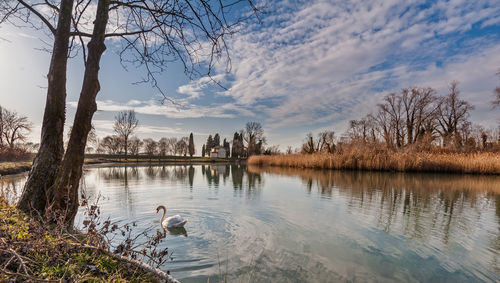 Swan swimming in lake against sky