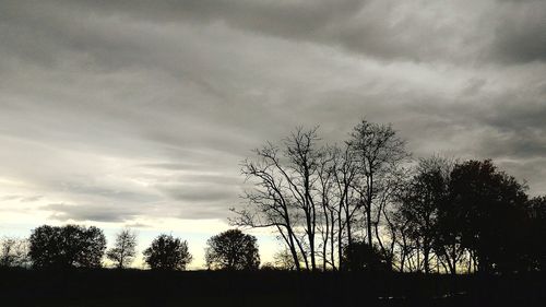 Silhouette trees against sky during sunset