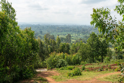 Scenic view of landscape against cloudy sky