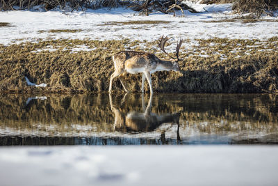 View of drinking water in lake