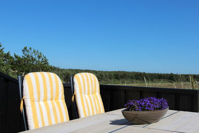 Potted plants on chair against blue sky