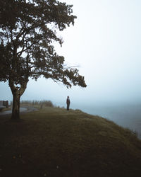 Man standing by tree on shore against sky