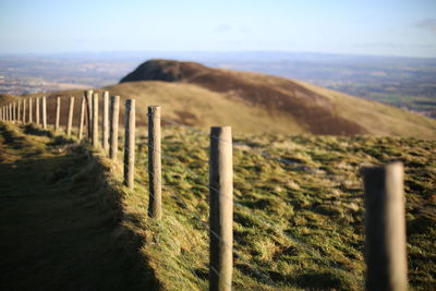 fence