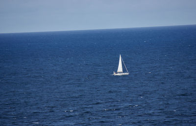 Sailboat sailing in sea against clear sky