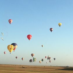 Low angle view of hot air balloons flying over field
