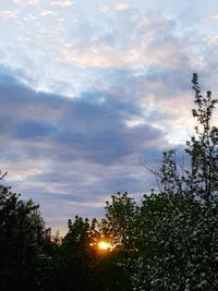 Low angle view of silhouette trees against sky during sunset