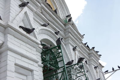 Low angle view of statues on building against sky