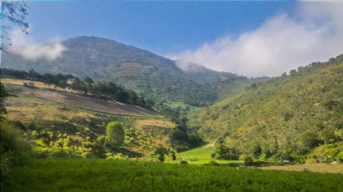 Scenic view of agricultural field against sky