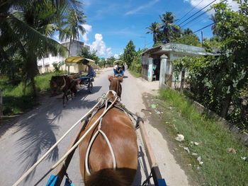 People riding horse cart on road