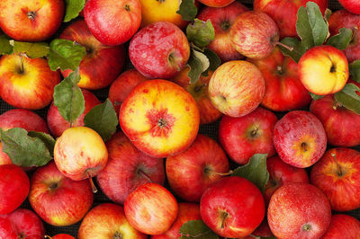 Full frame shot of apples in market