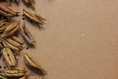 High angle view of crab on sand