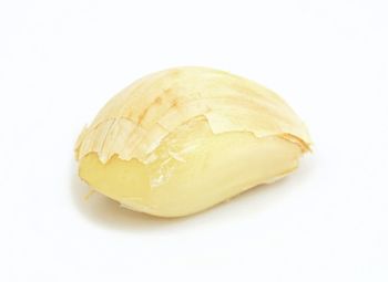 High angle view of bread on white background