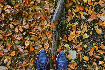 Low section of person standing on fallen leaves