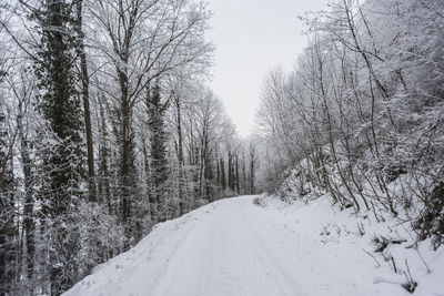 Snow covered road amidst trees against sky