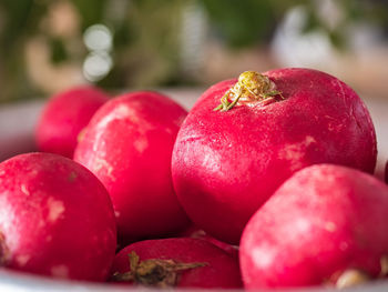 Red fresh radish in deep aluminum bowl close-up for vitamin salad