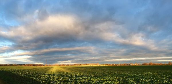 Scenic view of field against sky