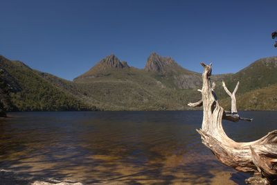 Scenic view of lake against clear sky