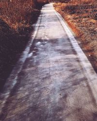 High angle view of empty road along trees