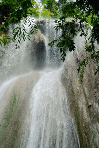 Scenic view of waterfall in forest