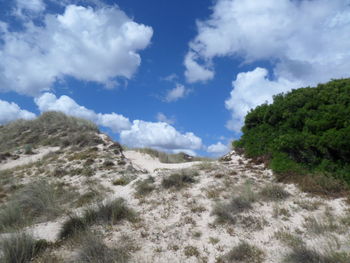 Scenic view of mountain against cloudy sky