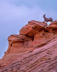 Low angle view of rock formation against sky goat