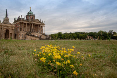 View of flowering plants in front of building