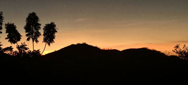 Low angle view of silhouette trees against sky during sunset