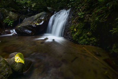 Scenic view of waterfall in forest