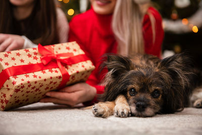 Midsection of woman with dog