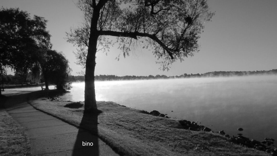 tree, outdoors, water, nature, day, tranquil scene, lake, tranquility, sky, scenics, no people, beauty in nature, clear sky, close-up