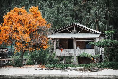 House and trees by plants during autumn