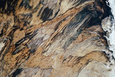 Full frame shot of wood