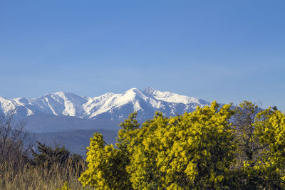 Scenic view of mountains against clear blue sky