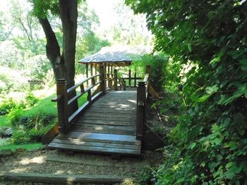 Gazebo in forest