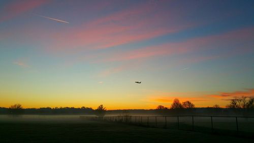 Silhouette of bird flying over landscape