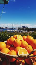 Close-up of orange fruits in water against sky