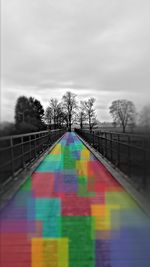 Trees against cloudy sky
