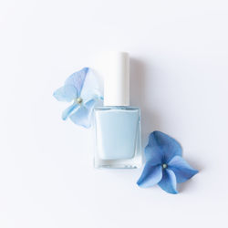 Close-up of blue flower in white background